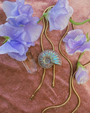 Load image into Gallery viewer, Ammonite Bolo