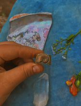 Load image into Gallery viewer, Pony Up Hair + Bandana Slide - Ammonite