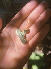 Load image into Gallery viewer, Ear Crawler Set - Opal 002