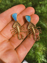 Load image into Gallery viewer, Duo Scorpio Dusters - Australian Opal