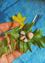 Load image into Gallery viewer, Cantera Opal Bloom Stud Set