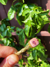 Load image into Gallery viewer, Mexican Opal Stamped Bangle - 009