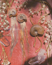 Load image into Gallery viewer, Ammonite Bolo
