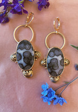 Load image into Gallery viewer, Fossil Agate Earrings
