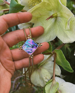 Abalone Bolo 001