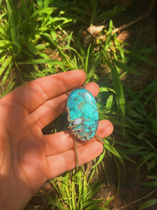 Snake Bolo