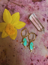 Load image into Gallery viewer, Kingman Turquoise Mini Hoop
