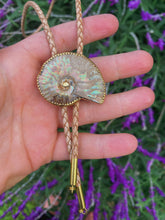 Load image into Gallery viewer, Opalized Ammonite Bolo #001

